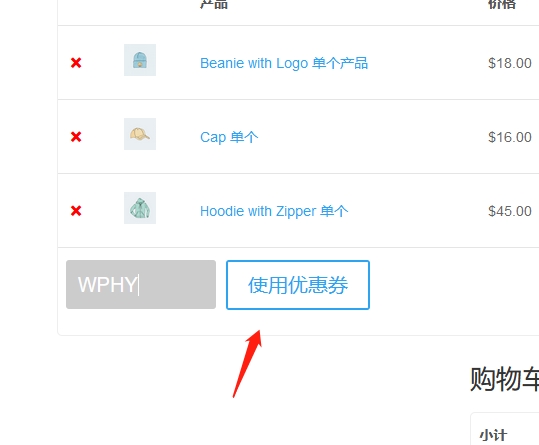 Woocommerce外贸独立站视频教程14：优惠券Coupon怎么用？