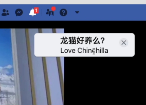 如何在Facebook上免费开直播？