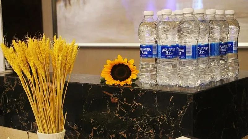 出海无忧  云智先行 河南跨境产业峰会