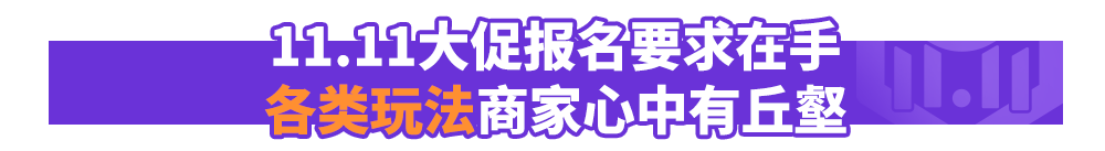 越南双周报Vol.4：本地团队揭秘11.11备战攻略，公布三大升级措施，力荐四大行业爆品
