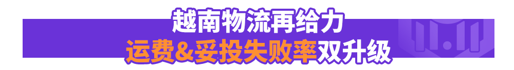 越南双周报Vol.4：本地团队揭秘11.11备战攻略，公布三大升级措施，力荐四大行业爆品