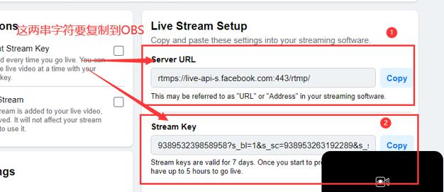 全网最全速卖通直播带货的流程，双11站内&站外引流攻略，网红直播带货你学会了吗