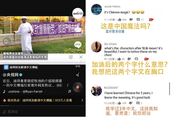 8500只迪拜皇室骆驼为双11“加班”，全球农场牧场赶集天猫国际