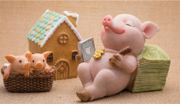 新手卖家入驻半年拿下10万美金，黑五这四大品类爆火非洲