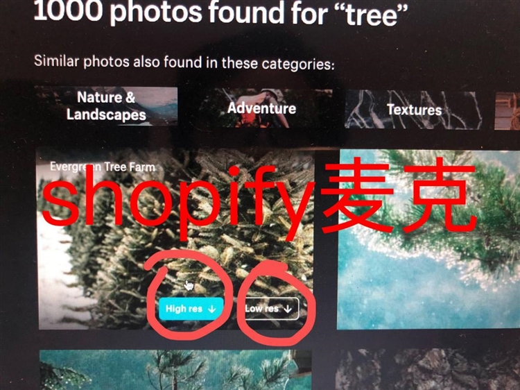 推荐几个免费好用的shopify工具