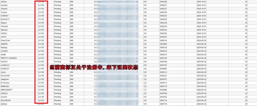 警惕！大量亚马逊女装大卖商标被集体抢注，“勒索潮”要来了？