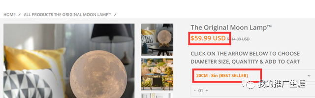 分享两个不同引流思路的独立站