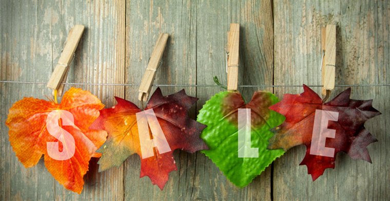 融入新全球化进程 王老吉正式入驻阿里巴巴国际站