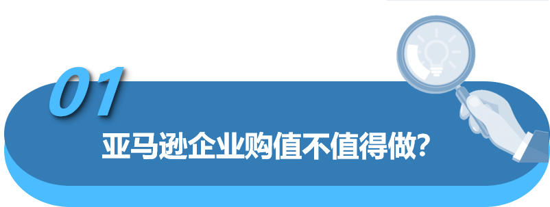上线两月内斩获百万美金大单！教你一个轻松拓客的亚马逊致富商机