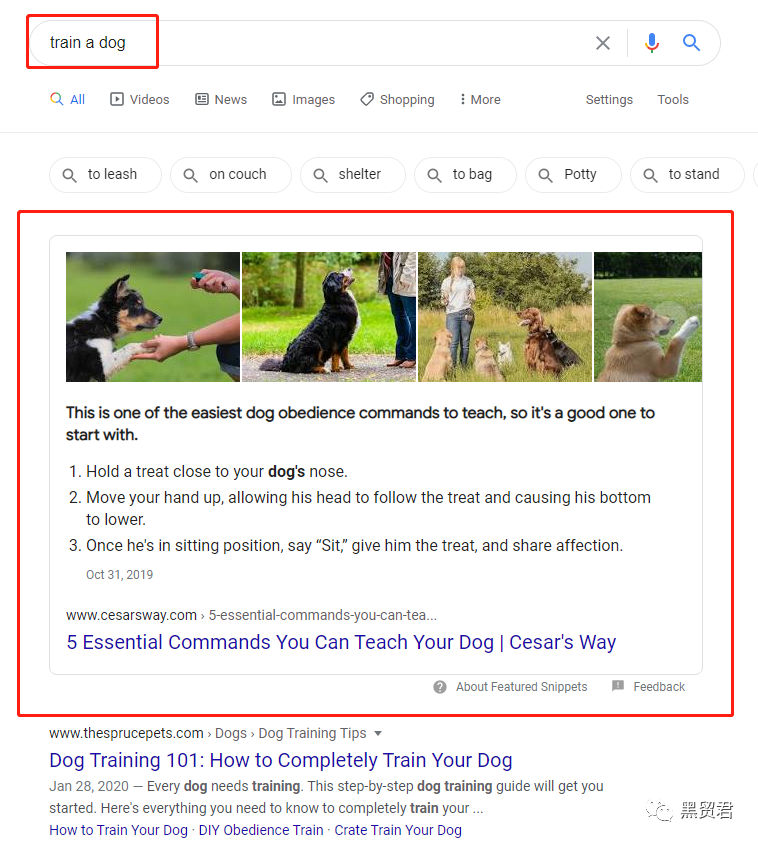 谷歌SERP给我的一些思考