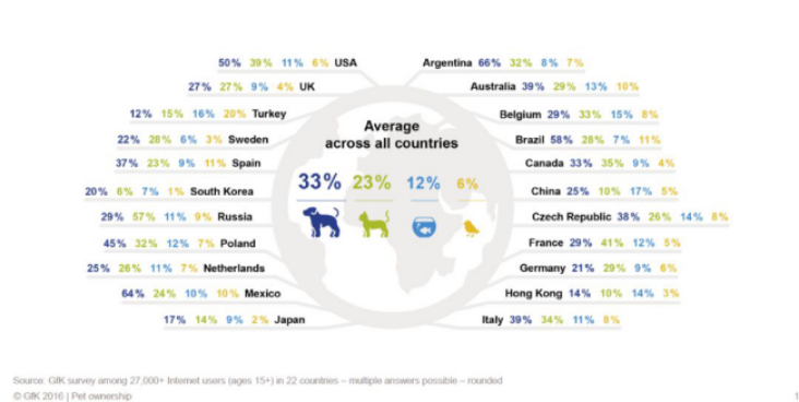 宠物品类持续“冲顶”，这几大爆款不容错过！