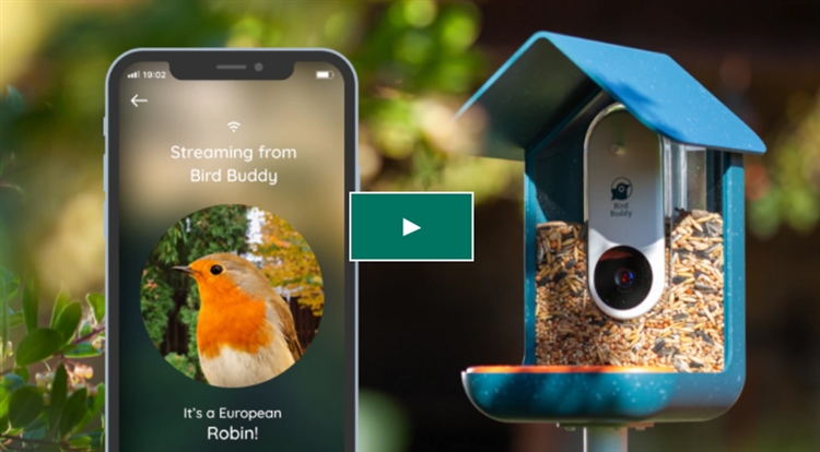 海外众筹——Kickstarter热门产品参考