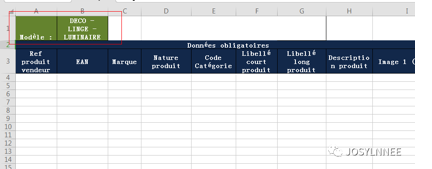 如何在Cdiscount批量产品上传 - 实操l'option simplifiée