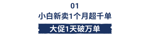 2天成类目Top 1, 免运营3个月单量涨342倍! Shopee广告太猛了