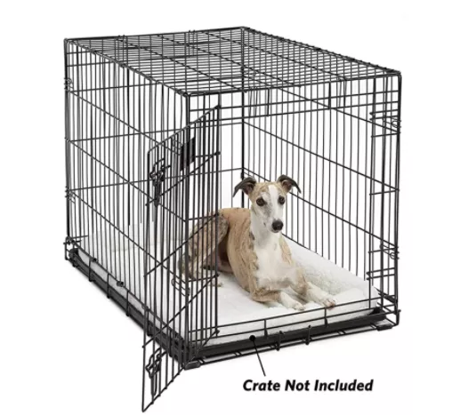 赶紧自查！亚马逊爆款宠物产品已申请专利，一碰就侵权！