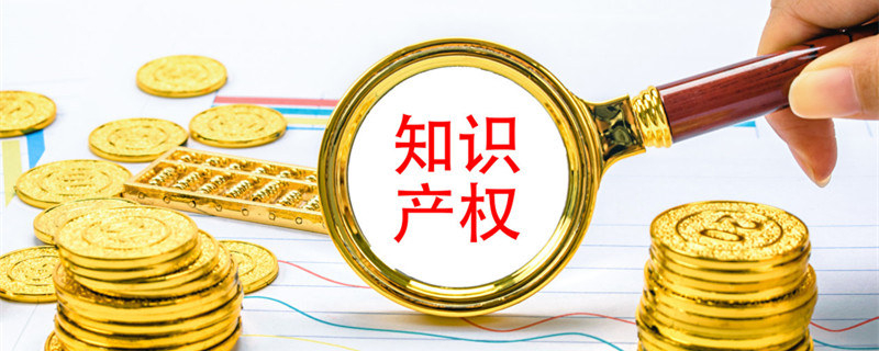 知识产权怎么写