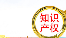 亚马逊知识产权怎么处理