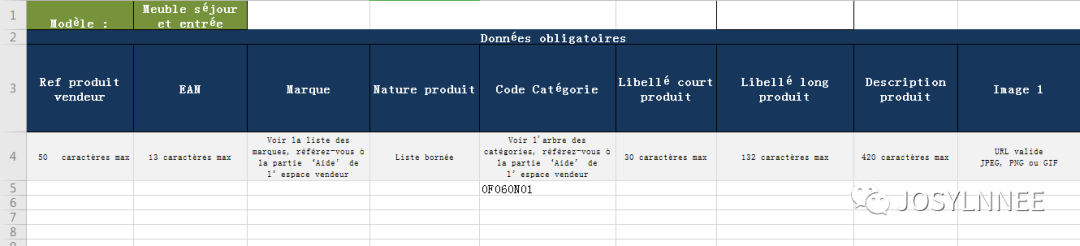 如何在Cdiscount批量产品上传 - 实操l'option avancée