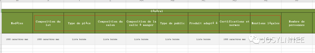 如何在Cdiscount批量产品上传 - 实操l'option avancée