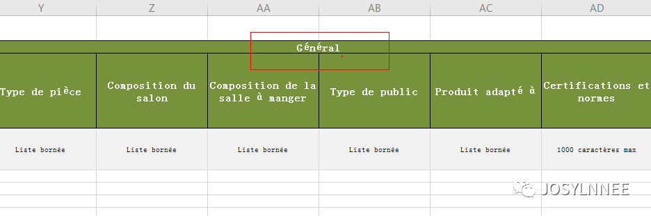 如何在Cdiscount批量产品上传 - 实操l'option avancée