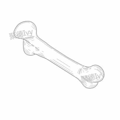 2020年亚马逊6款热销宠物用品外观专利检索，小心侵权啦！