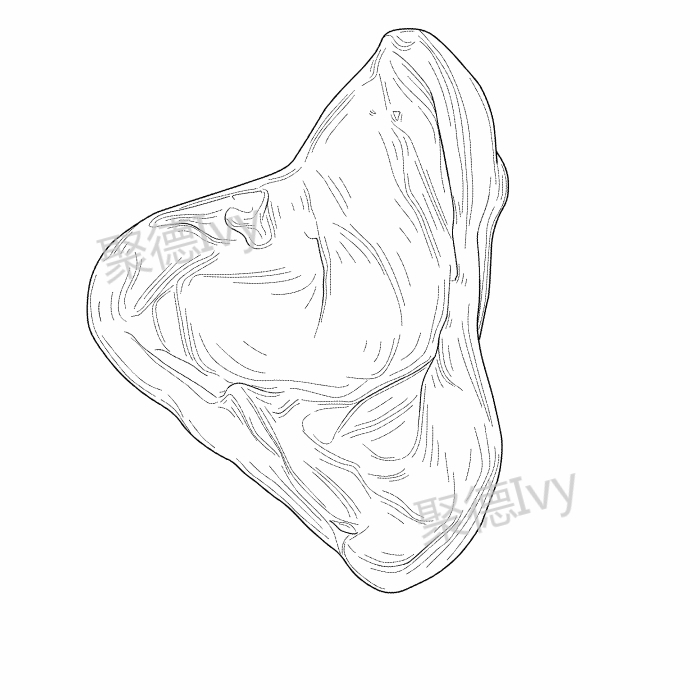 2020年亚马逊6款热销宠物用品外观专利检索，小心侵权啦！