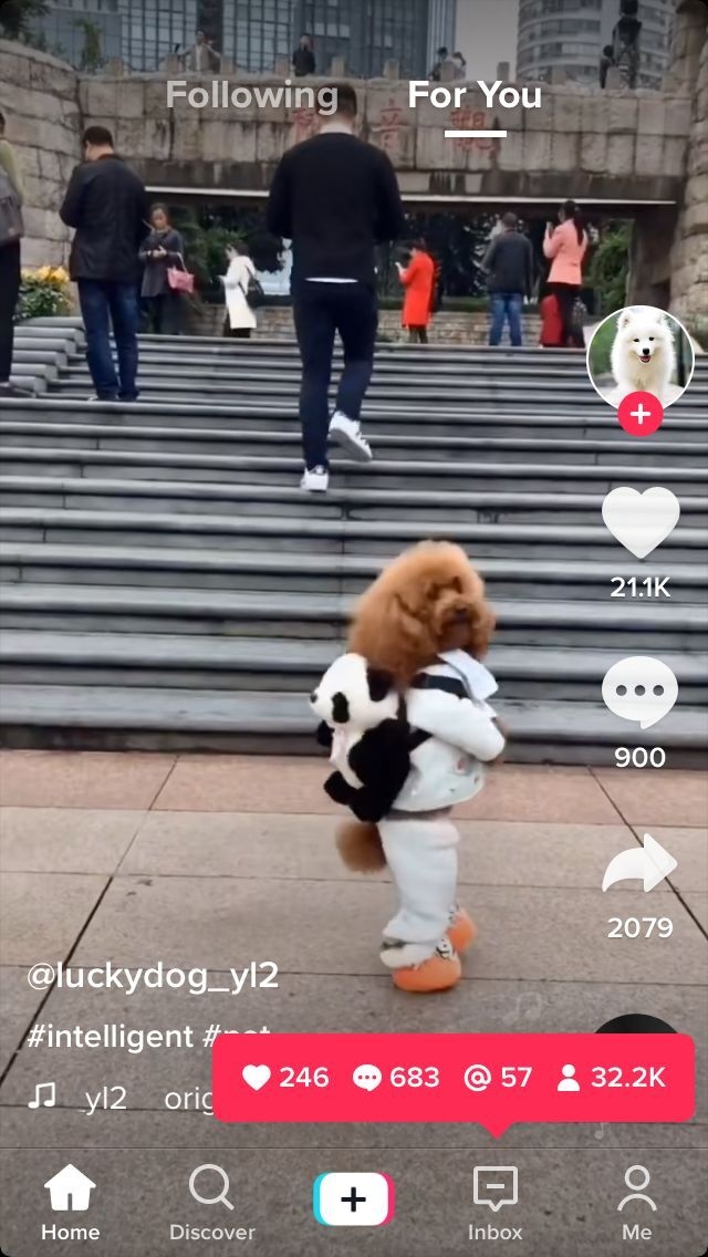 2021年跨境商家的机会点在哪里？