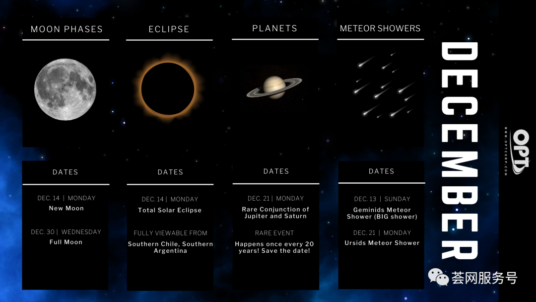神爆款！5个评价2.2星，大类BSR#386，上架2个月成为圣诞季爆款