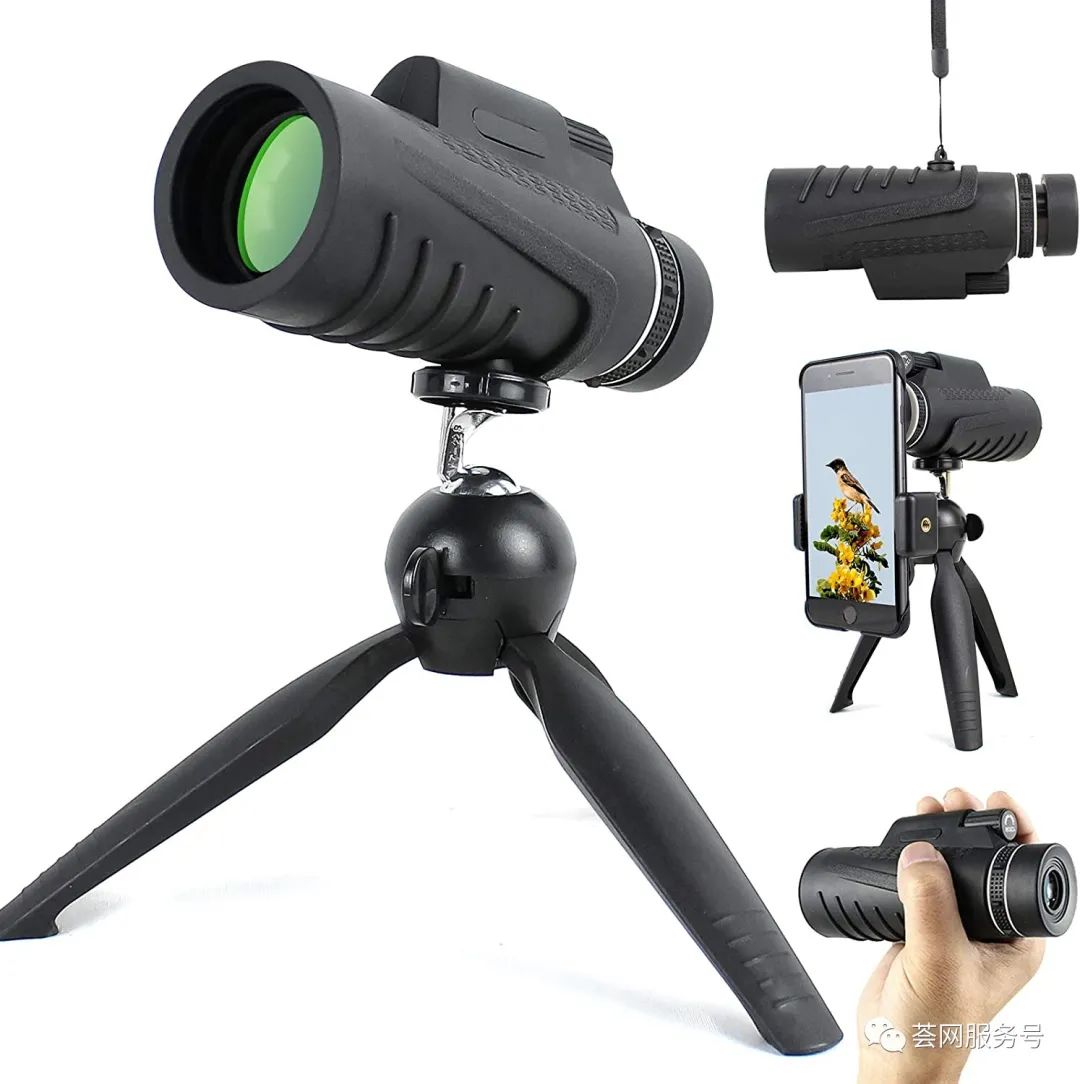 神爆款！5个评价2.2星，大类BSR#386，上架2个月成为圣诞季爆款