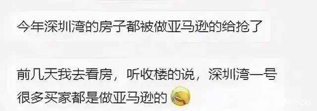 跨境賣家最愛“搞錢”？連上億豪宅都搶光