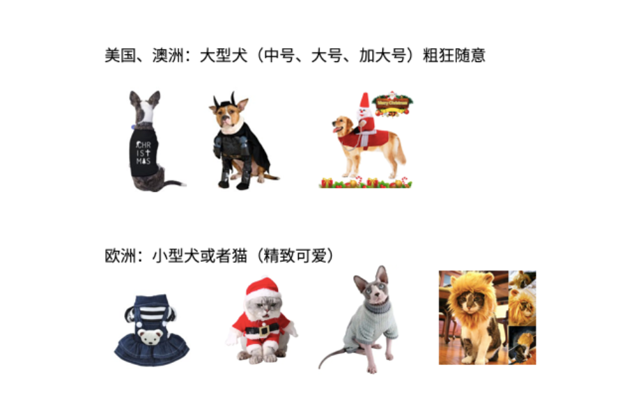 Wish黑五銷售No.1！3大當(dāng)紅產(chǎn)品怎么選？