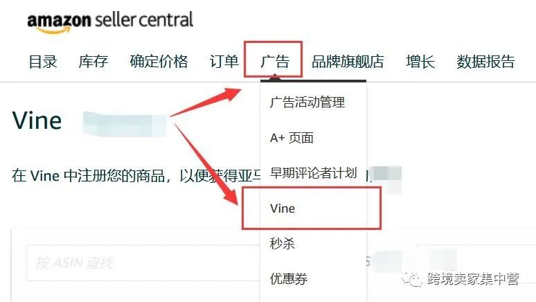 说说亚马逊的 Vine Voice 评论