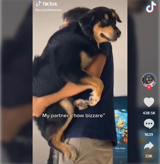 2020年最火的20个TikTok话题标签#