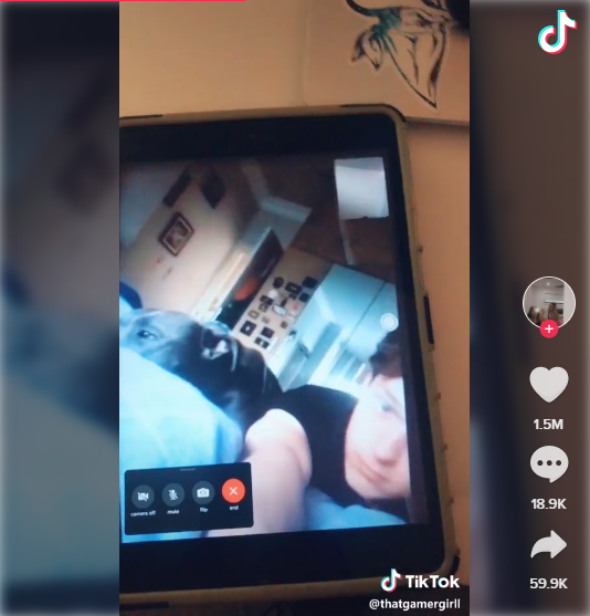 2020年最火的20个TikTok话题标签#