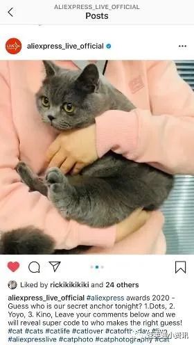 速卖通宠物用品销售额同比上涨超70%！速卖通“高薪”招募“猫主播”来直播带货