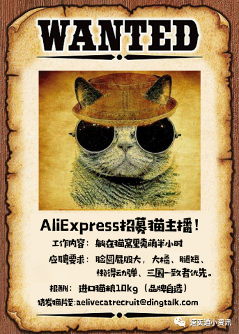 速卖通宠物用品销售额同比上涨超70%！速卖通“高薪”招募“猫主播”来直播带货