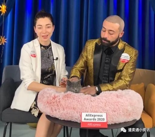 速卖通宠物用品销售额同比上涨超70%！速卖通“高薪”招募“猫主播”来直播带货