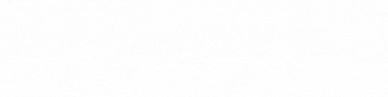 订单涨30倍！Wish品牌项目携300个中国品牌，乘风出海！