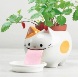 侵权规避 | 汇总亚马逊等1月侵权关键词（最新！！更新至01月13号