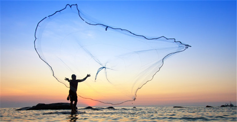 Wish公布A+物流计划更新多处调整