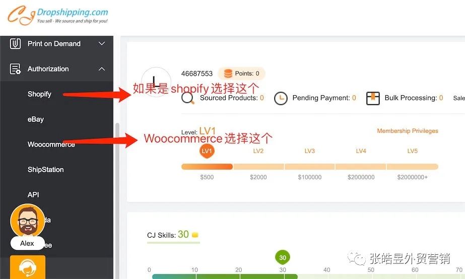 推荐一个做dropshipping的平台-cjdropshipping