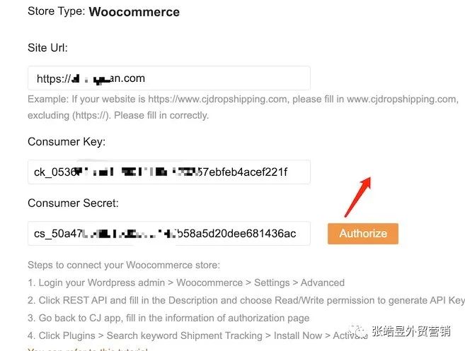 推荐一个做dropshipping的平台-cjdropshipping