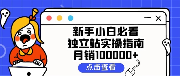 新手小白必看独立站实操指南，月销100000+