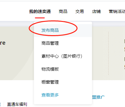 速卖通小白上架链接讲解-2：标题撰写