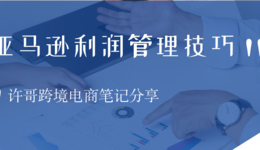 亚马逊卖家必看！运营过程中的利润财务核算方式你了解了吗？【财务管理系列】