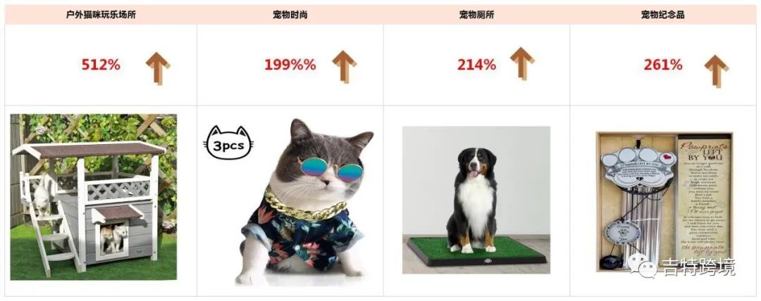 宅经济下的大热行业，宠物类目的选品你get到了吗？