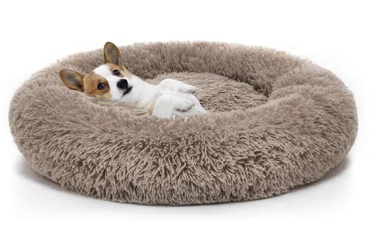 如何做出高点击率的主图？