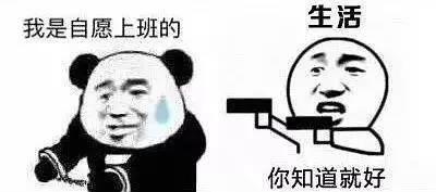 亚马逊要出保险费了？别慌......