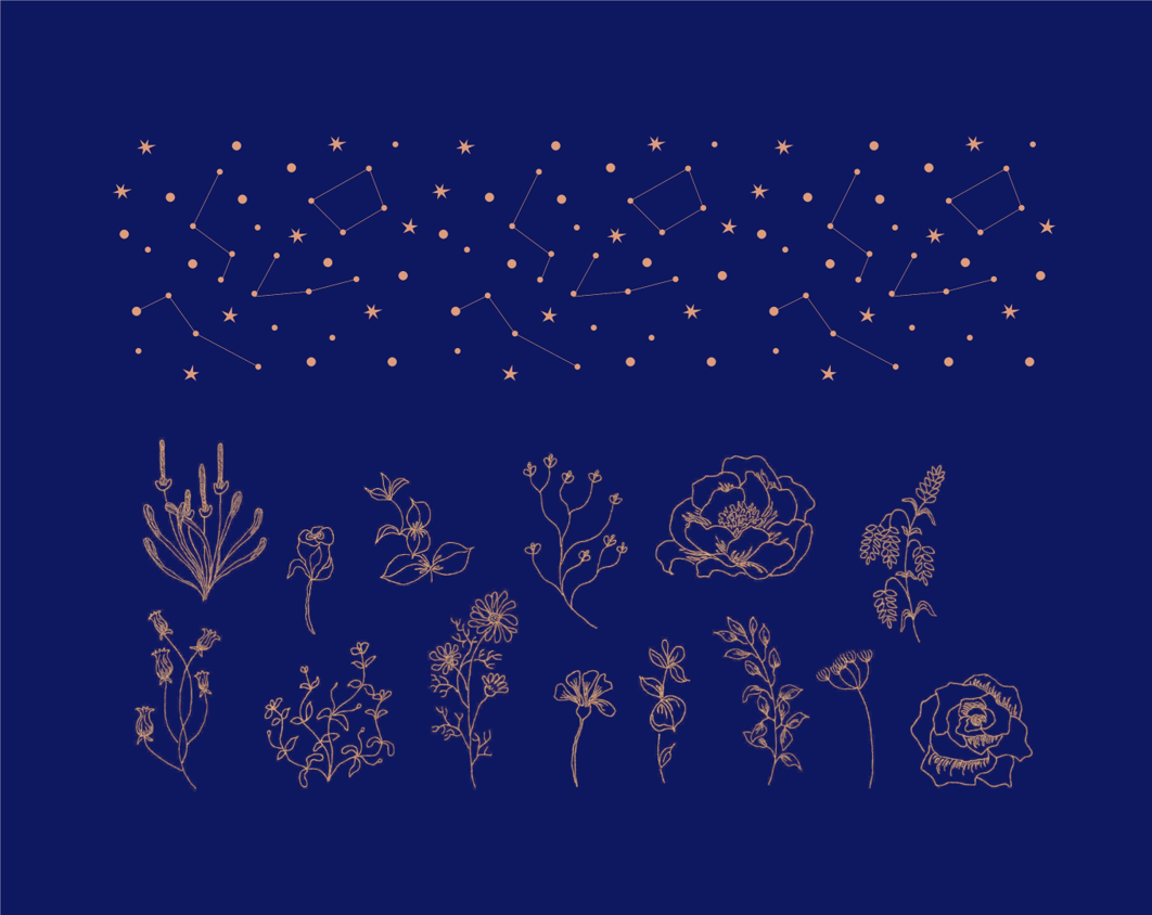 Pretty Diva案例分析| 品牌重塑