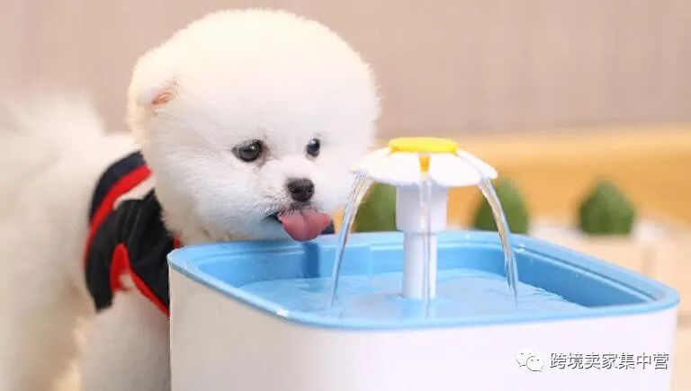 产品没有销量，可能是你的选品不行